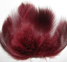 teal barred flank claret Wapsi / Natural Spirit  12f